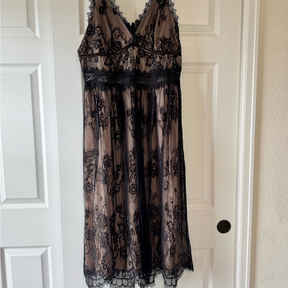 Chelsea28 Black and Tan Lace Overlay Dress